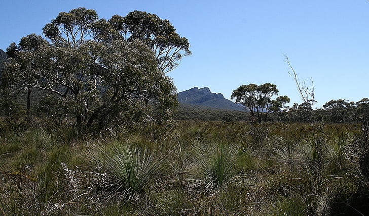 Grampians, Austràlia, arbust, natura, Roca, llocs d'interès, sec