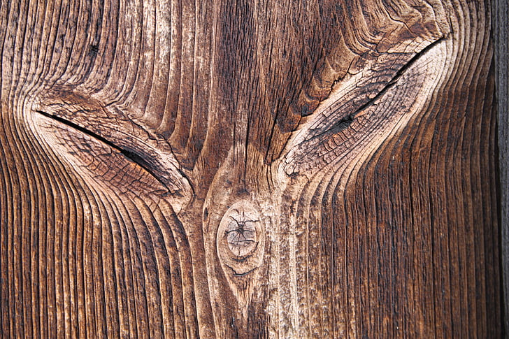madeira, Knothole, árvore, natureza, log de, marrom, textura