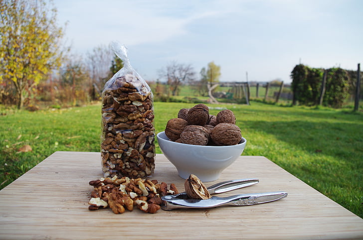 walnuts, peeled, bowl, pocket, nutcracker, shell, food