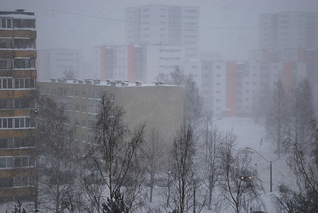Tallinn, sněží, dům, sněhová bouře, chlad, ledové