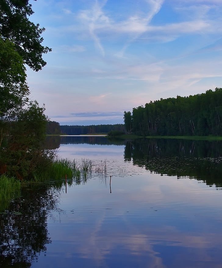 vakarā, ezers, ūdens, zila, ainava, meža, daba