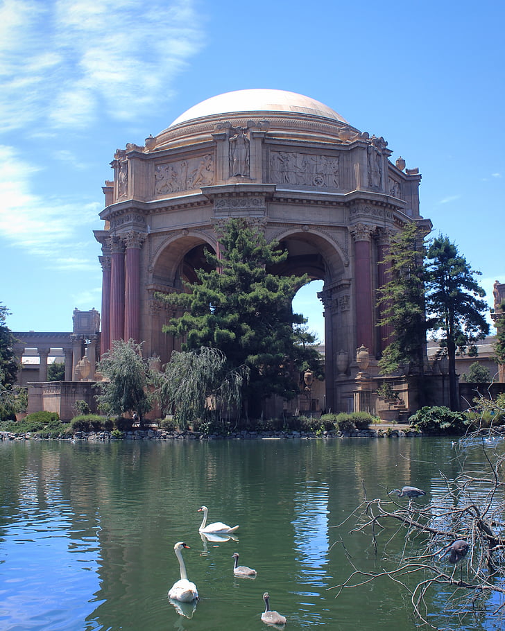 san francisco, palace of fine arts, dome, pond, architecture