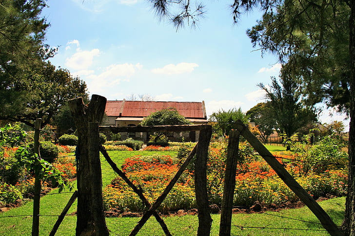 Sân vườn, Gate, gỗ, Ba Lan, Bài viết, Bãi cỏ, màu xanh lá cây