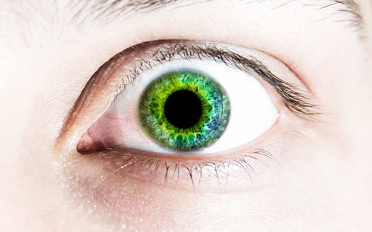 lijevo, oko, zelena, učenici, lice, ljudsko oko, dio ljudskog tijela