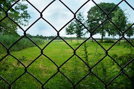 plot, drát, pletivo, drátěný plot, pletiva, zavřeno, vstup zakázán