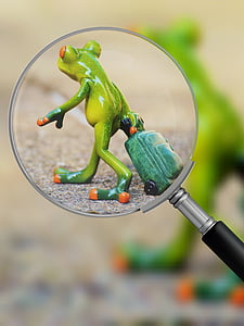frog, farewell, travel, luggage, magnifying glass, holdall, go away