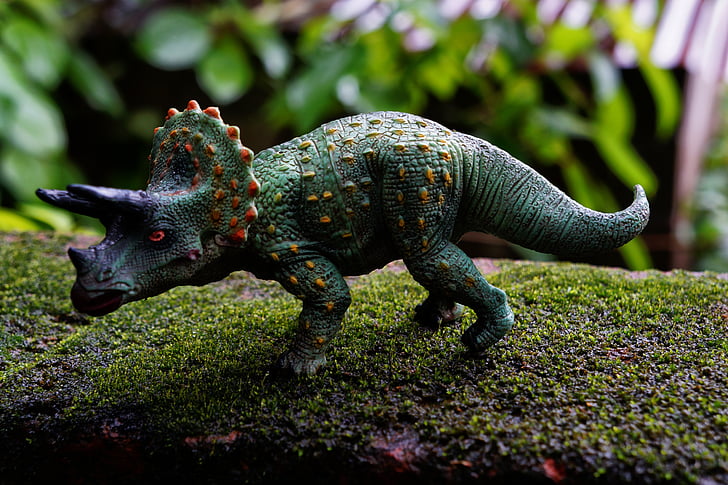 Динозаври, юрського періоду, Рептилії, Triceratops, Передісторія, кам'яний вік, ящірки