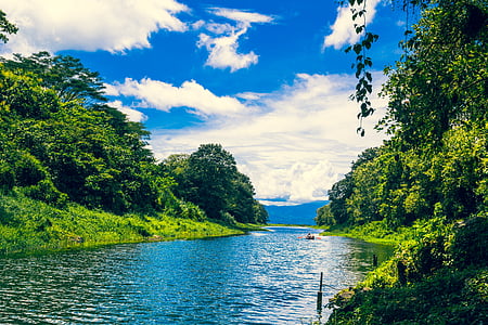 Honduras, água, verde, verde, plantas, árvore, nuvem - céu
