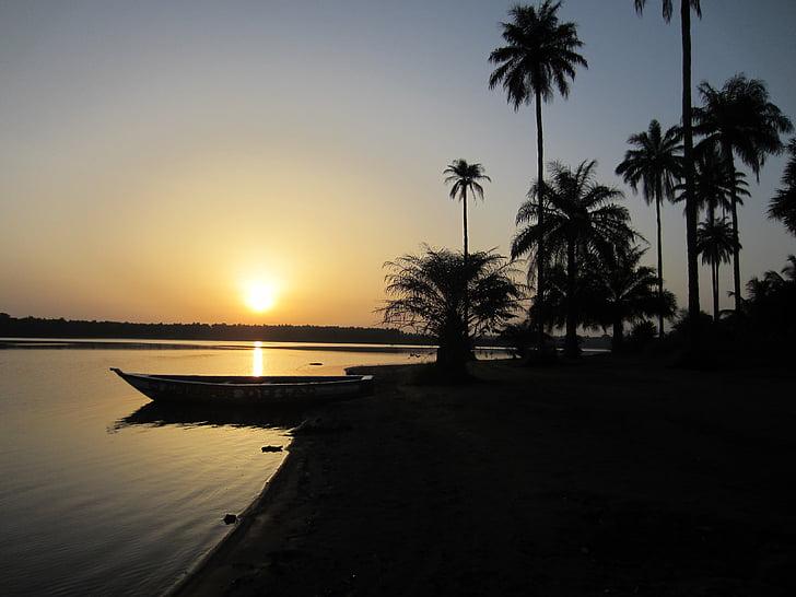 solnedgang, Guinea, Afrika, palmer