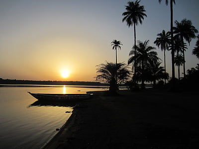 solnedgång, Guinea, Afrika, palmer