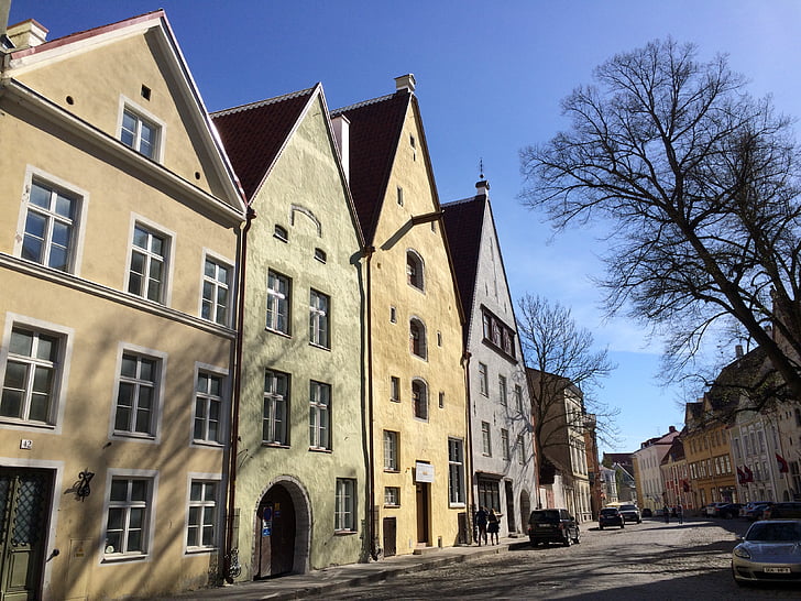 Europa, Tallinn, arquitectura, a casa, carrer, la façana de la, edifici