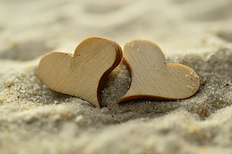 Sand, hjärtat, trä, musslor, stranden, symbol, Kärlek