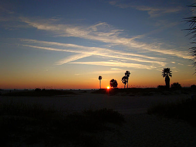 stranden, solnedgång, träd, Palm, ljus, moln, Sky