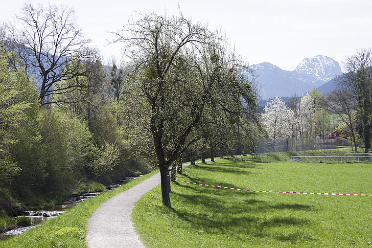 tavaszi, napsütés, május, hegyek, Wendelstein, Bach, fák