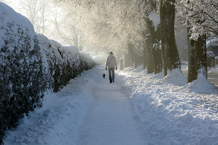 sneh, zimné, vzdialenosť, osoba, ľudské, mrazivé, chôdze