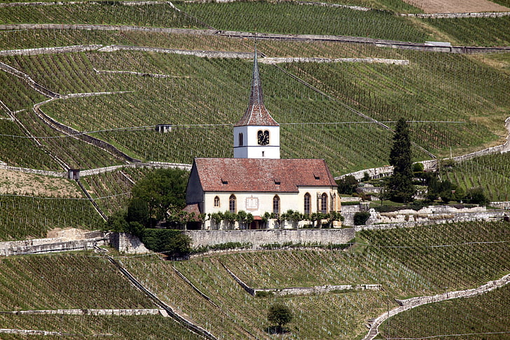 kirik, küla, hoone, maastik, viinamarjaistanduste, ligerz, loodus