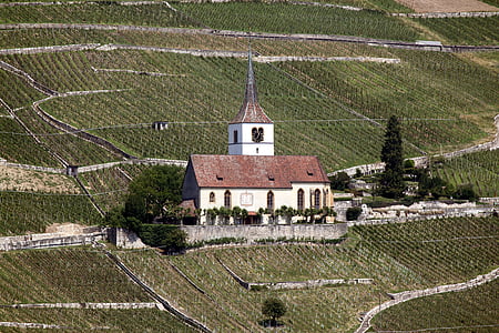church, village, building, landscape, vineyards, ligerz, nature