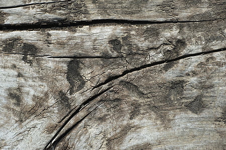 texture, bois, macro, brun, en détail, vieux, panneaux en fibre de bois