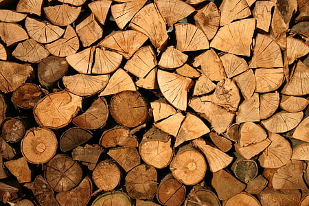 abstrakt, bark, kutt, ved, skogbruk, logger, tømmer