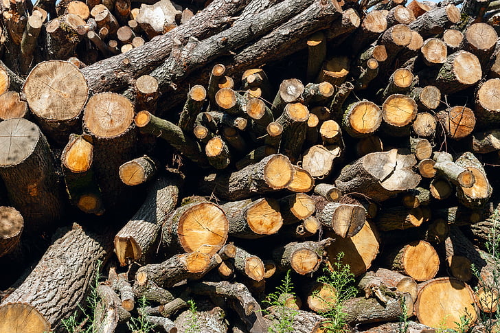 Drewno kominkowe, Drôme, drzewo, lasu, kupie, okrążenia, fagot