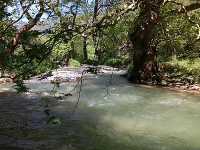 река, louros, filippiada, природата, дърво, гора, поток