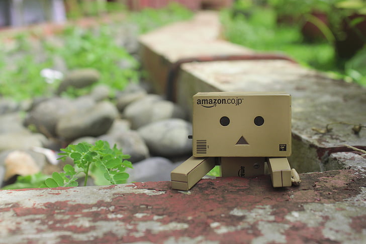 looking, playful, danbo, action figure, green, funny, fun