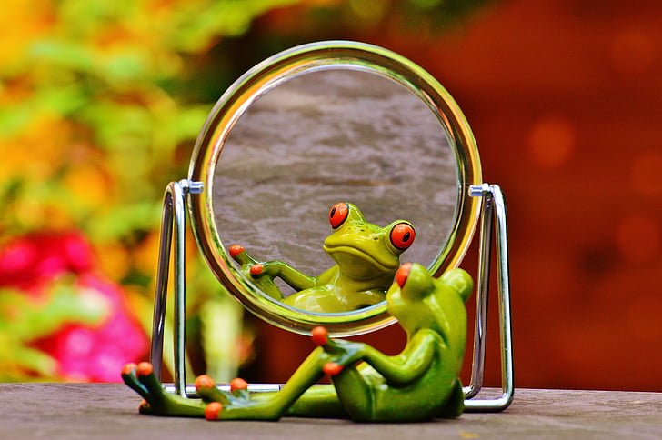 granota, mirall, imatge en el mirall, reflectint, valent, divertit, diversió