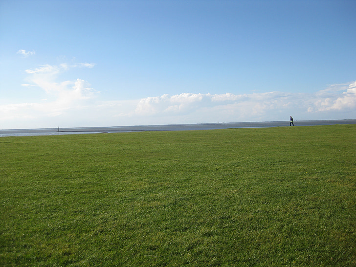 Dike, louka, Horizont, tráva, Severní moře, Já?, wattů