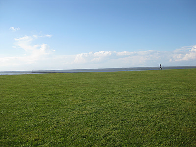 dike, meadow, horizon, grass, north sea, sea, watts