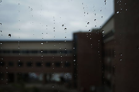 ne, Tabitha, langas, stiklo, lietaus lašai, lietingą dieną, srovelė