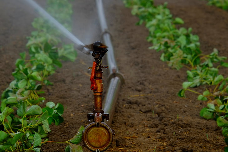 acqua sprinkler, irrigazione, campo, artificiale, siccità, acqua, saltare in aria