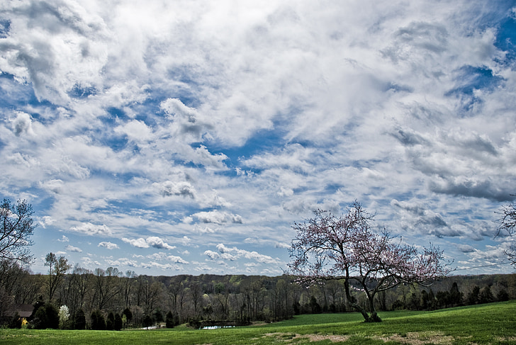 хмари, поле, Весна, горизонт, Природа