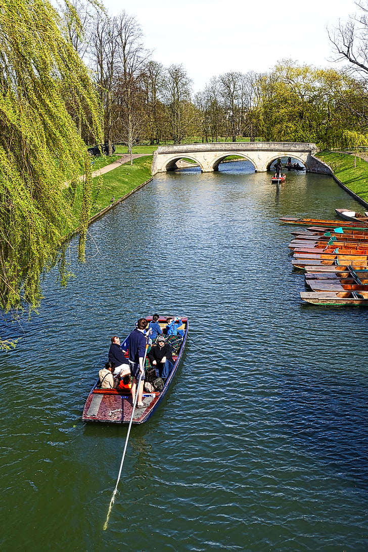 bankene, Cambridge, kanalen, elven, Pole båt, utendørs, vann