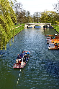 banky, Cambridge, kanál, řeka, pól loď, venku, voda