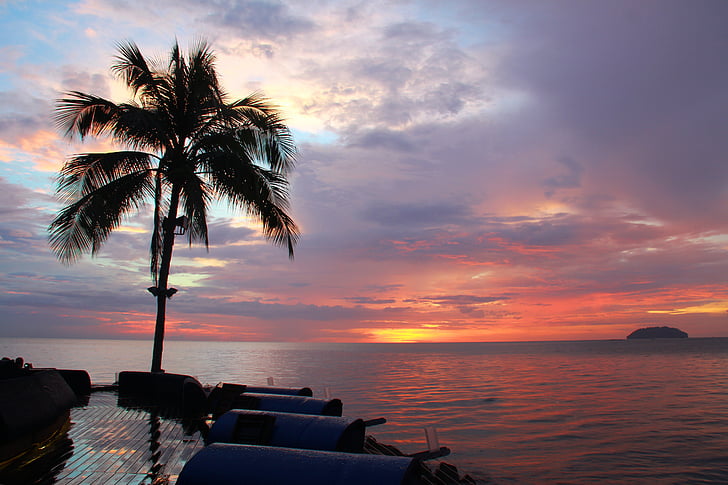 coucher de soleil, vue sur la mer, palmier, mer, Nuage - ciel, scenics, plage