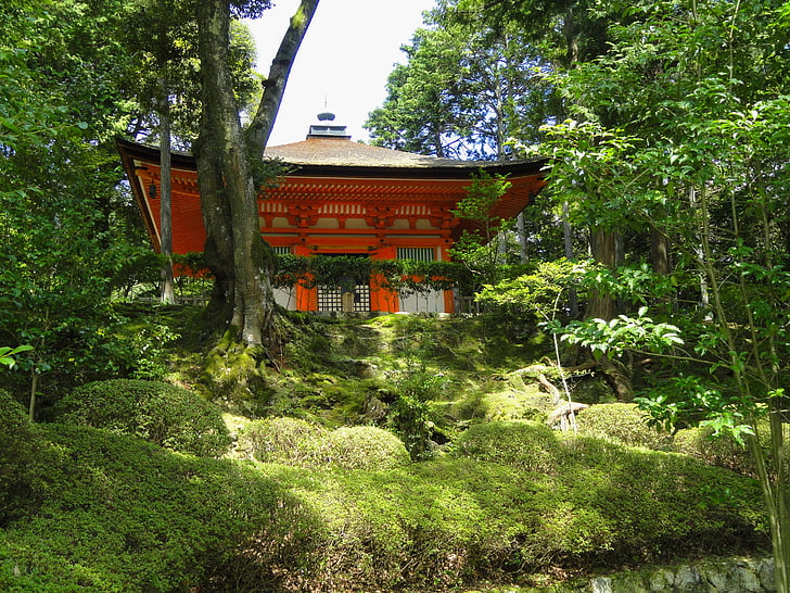 Otsu, Japán, Shingon, templom, vallás, hit, épület