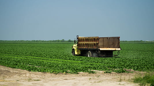 Ranch, sembradillo, camion, táj, mezőgazdaság, Farm, vidéki táj