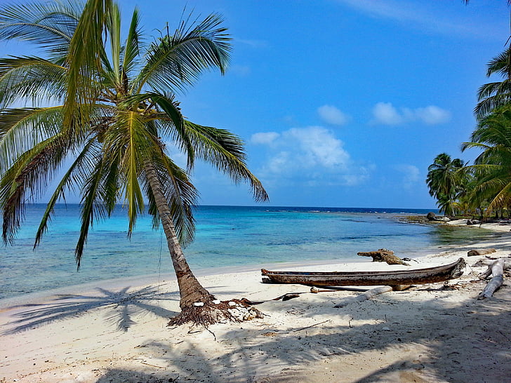 Isla diablo, San blas, Panama, GUNA yala, Karibská oblast, ostrov, Palmové stromy