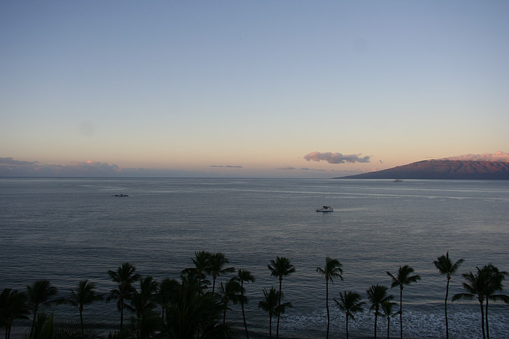 바다, 일출, 바다, 물, 비치, 하와이, 수평선