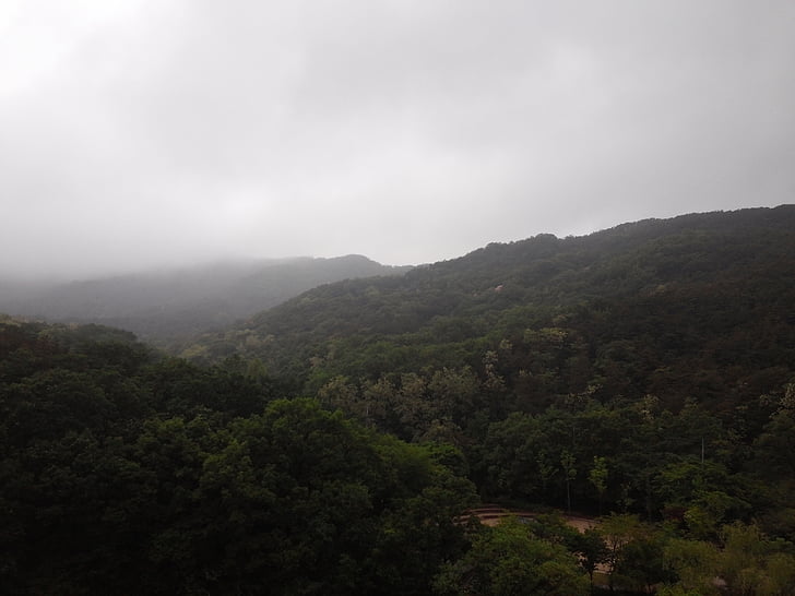 gwanaksan, montanha, natureza, nevoeiro, floresta, chuva de primavera