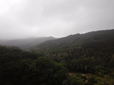 gwanaksan, góry, Natura, mgła, lasu, deszcz
