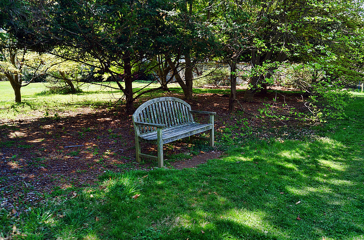 bench, park, seating, trees, landscaping, lawn, grass
