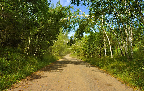 Road, Metsä, Luonto, kesällä, puu, maisema, Arch
