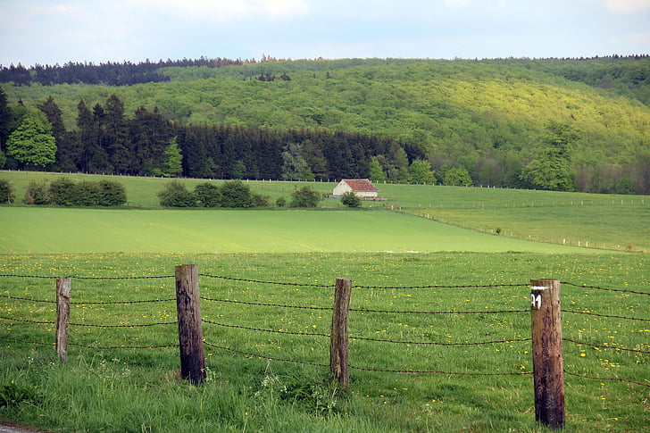 paisaje, cerca de, bosque, bosque de Teutoburgo, Escena rural, naturaleza, granja