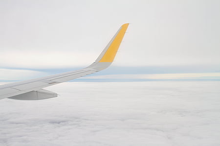 飛行機, 航空会社, 旅行, 旅行, 曇り, 空, フライング