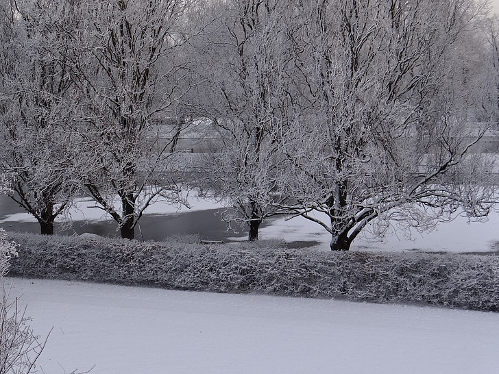 vintrig, snö, träd, Winter magic, naturen, vatten, floden