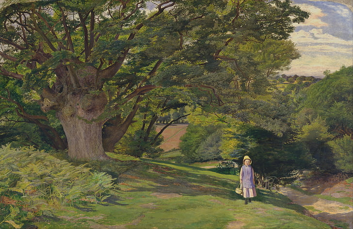 William hayes, pittura, olio su tela, artistico, natura, di fuori, cielo
