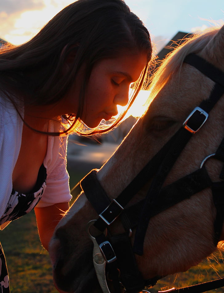 csók, ló, lány, szerelem, fia, goldenhour, öröm