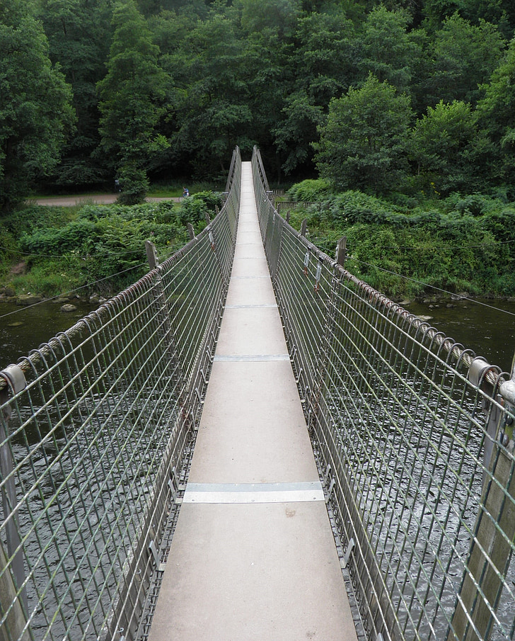 swing bridge, bridge, river, swing, nature, water, rope