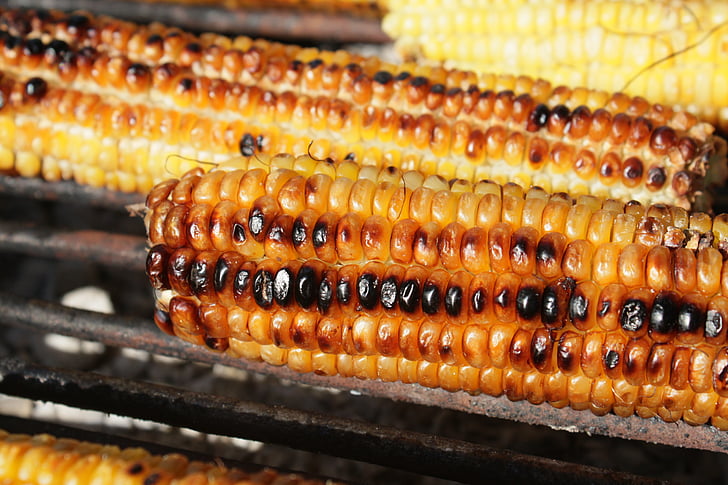 barbecue, corn, fresh, grill, grilled, healthy, sweet
